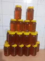 عسل فروشی سی‌گل