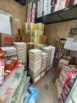 فروشگاه تخم مرغ آوا