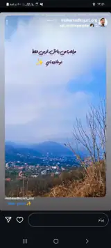 ارباب فلافل