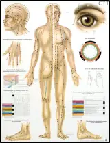 مجموعه طب سنتی سلامت محمودزاده