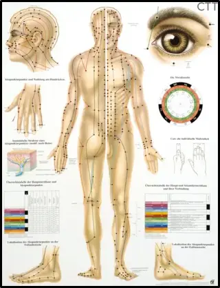 مجموعه طب سنتی سلامت محمودزاده
