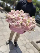 گل گیشا