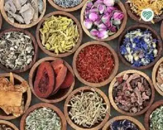 آموزشگاه طب سنتی شفا