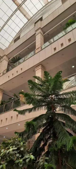 تعمیرات و طلاسازی گنجه