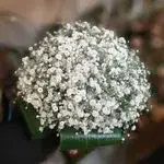گلفروشی یونا (نوبخت)