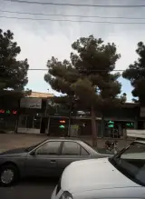 پرورش اندام هالک