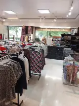 پوشاک نقره ای
