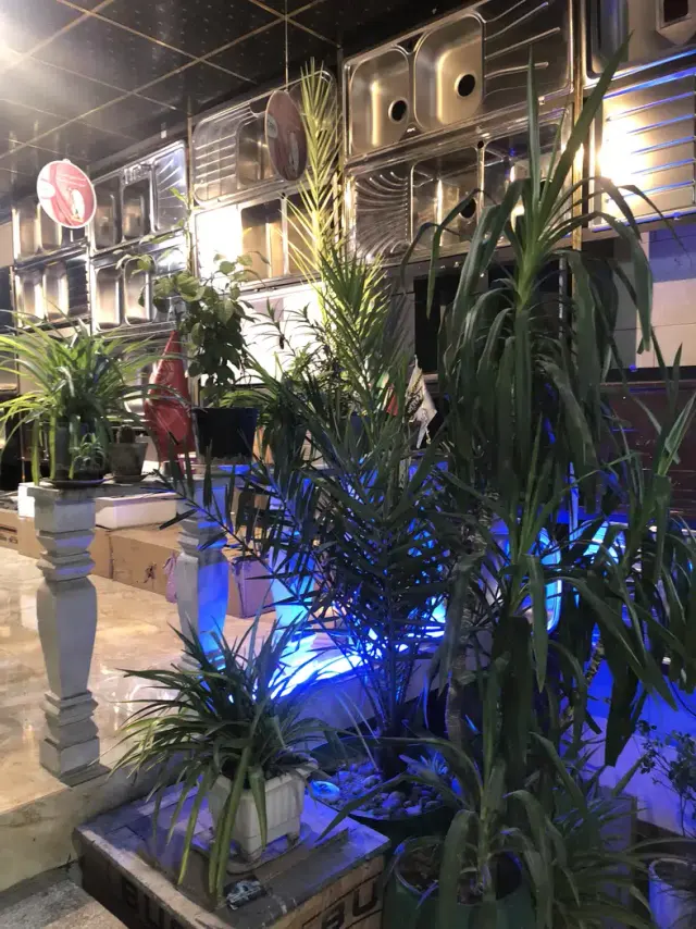 نمایندگی رسمی رامین مردی