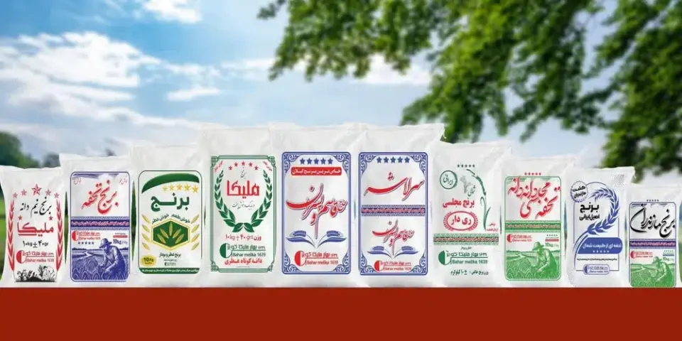 برنج فروشی در اسکان یزد
