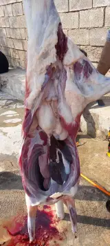 قصابی بیوسنده