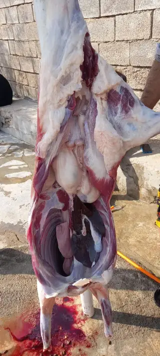 قصابی بیوسنده