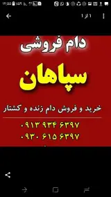 دام فروشی سپاهان