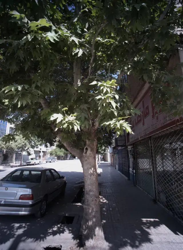 سوپرمارکت بیگی