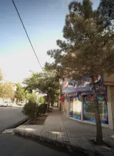 سوپر ارکیده