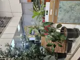 کابینت و دکوراسیون داخلی آذین