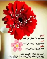 تجهیزات پزشکی پهلوان