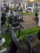 باشگاه ورزشی داتیس