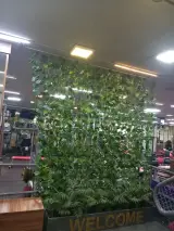 باشگاه بدنسازی ابراهیمی