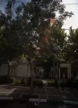 گالری پرنس