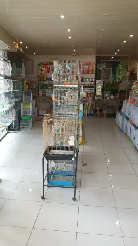 پرنده فروشی سربازی