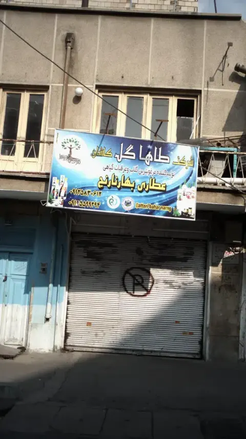 شرکت طاها گل کاشان