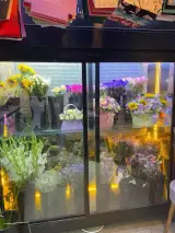 گل فروشی بلک رز