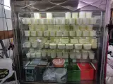 لبنیات سنتی نوخاصی