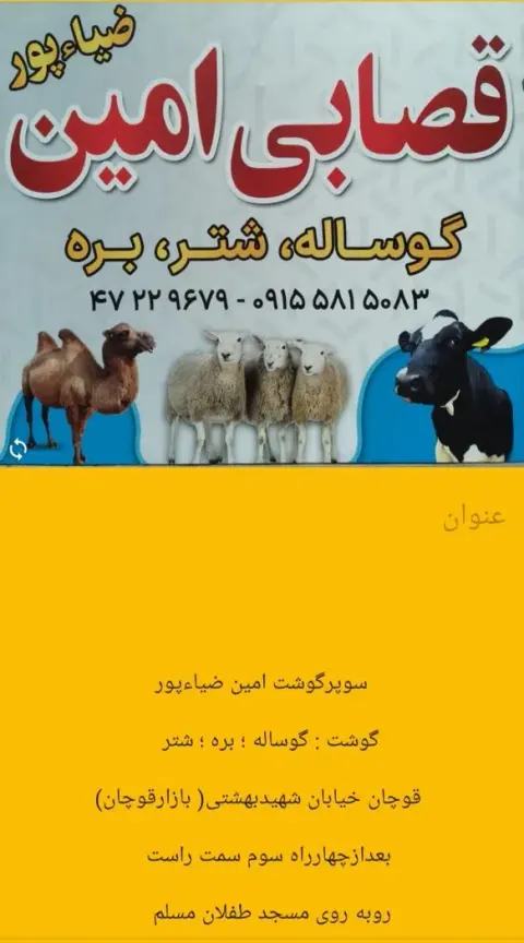 قصابی امین