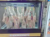 قصابی سلجوقی