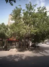 پوشاک آس