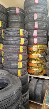 لاستیک حمید