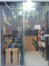 ته لنجی گاندو