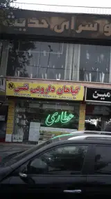 گیاهان دارویی نفس