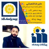 نمایندگی بیمه پاسارگاد علیرضا شعبانی کد63477