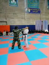 باشگاه ورزشی میر