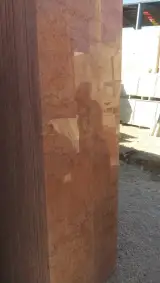 بجستان سنگ کوهک