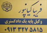 فریبا کیانپور وکیل پایه یک دادگستری