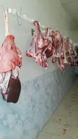 قصابی قول لر عطا