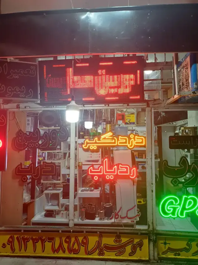 دزد گیر هوشیار (آلرت )