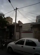 گیاهان دارویی شفا