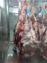 قصابی علی نیا
