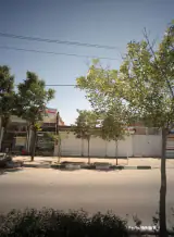 لبنیات سنتی