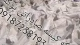 هرمزبرکه