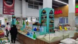 گیاهان دارویی شلیرا
