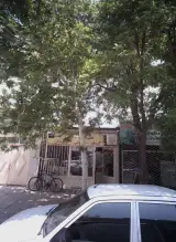داروهای گیاهی سید