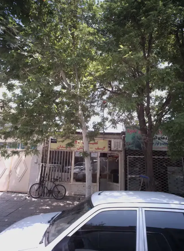 داروهای گیاهی سید