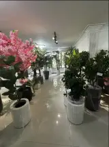 فروشگاه دکورسازی