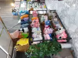 خوشحالی فروشی عطر ناب