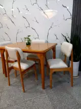 مبلمان چنار