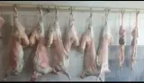 قصابی ملول